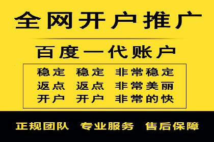 网络推广竞价实战：某电商平台的成功案例